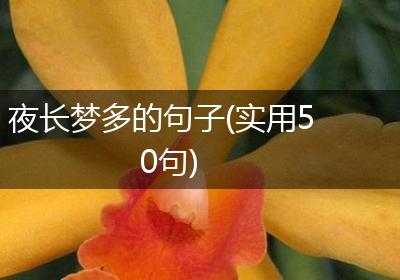 夜长梦多的句子(实用50句)