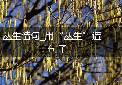 丛生造句_用“丛生”造句子