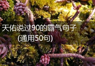天佑说过90的霸气句子(通用50句)