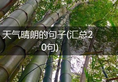 天气晴朗的句子(汇总20句)