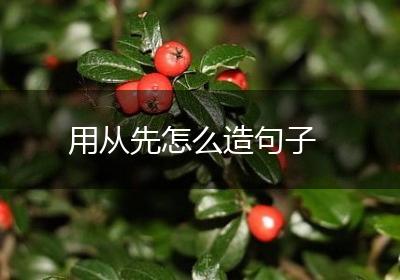 用从先怎么造句子