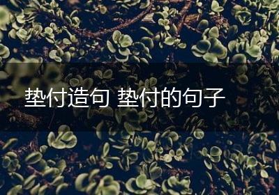垫付造句 垫付的句子