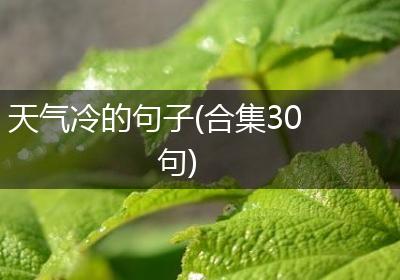 天气冷的句子(合集30句)