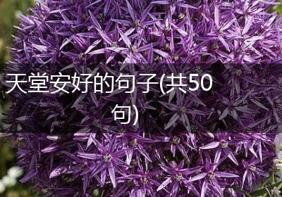 天堂安好的句子(共50句)