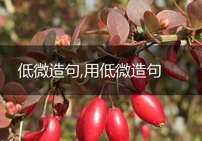低微造句,用低微造句