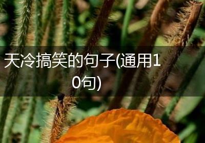 天冷搞笑的句子(通用10句)