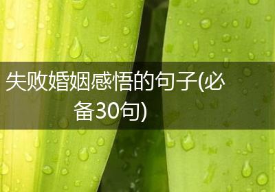 失败婚姻感悟的句子(必备30句)