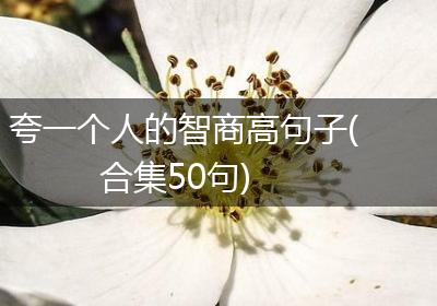 夸一个人的智商高句子(合集50句)