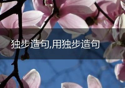 独步造句,用独步造句