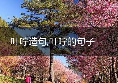 叮咛造句,叮咛的句子