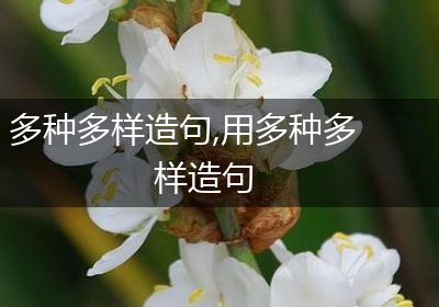 多种多样造句,用多种多样造句