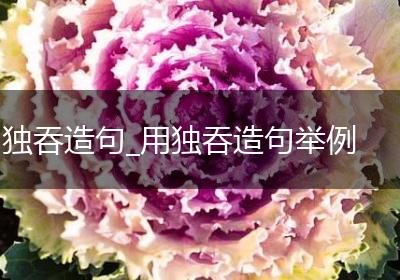 独吞造句_用独吞造句举例