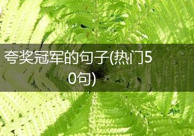 夸奖冠军的句子(热门50句)