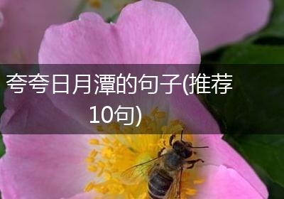 夸夸日月潭的句子(推荐10句)