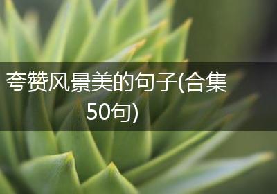夸赞风景美的句子(合集50句)