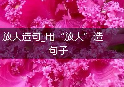 放大造句_用“放大”造句子