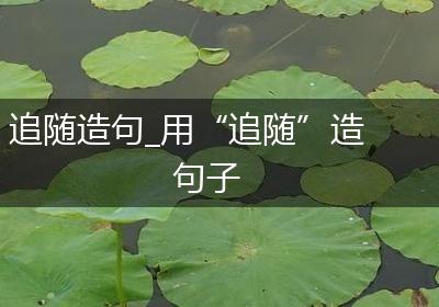 追随造句_用“追随”造句子