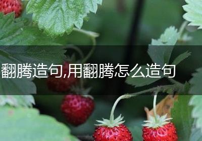 翻腾造句,用翻腾怎么造句