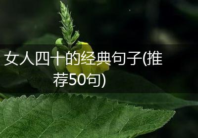 女人四十的经典句子(推荐50句)