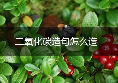二氧化碳造句怎么造