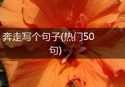 奔走写个句子(热门50句)
