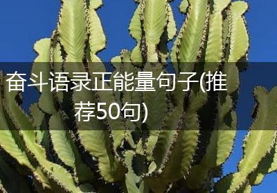 奋斗语录正能量句子(推荐50句)