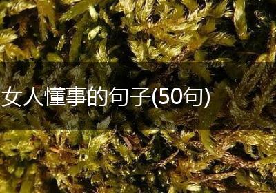 女人懂事的句子(50句)