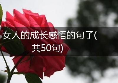 女人的成长感悟的句子(共50句)
