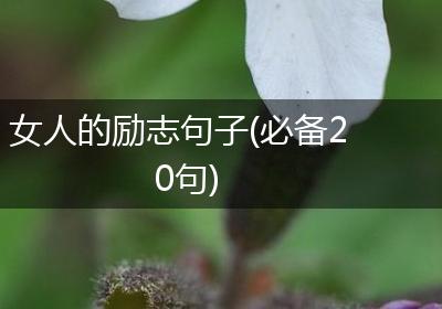 女人的励志句子(必备20句)