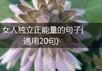 女人独立正能量的句子(通用20句)
