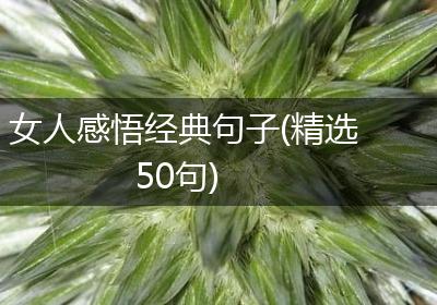 女人感悟经典句子(精选50句)
