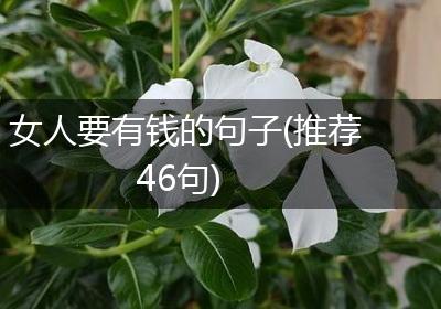 女人要有钱的句子(推荐46句)