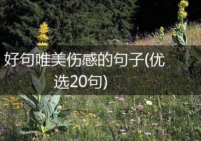 好句唯美伤感的句子(优选20句)