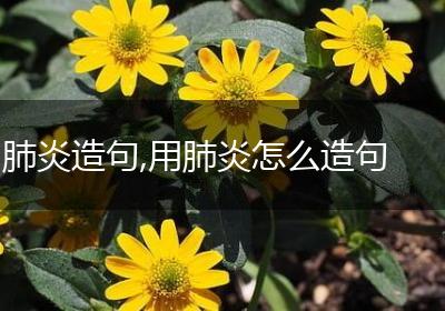 肺炎造句,用肺炎怎么造句
