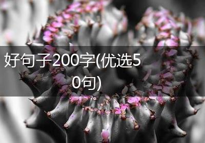 好句子200字(优选50句)