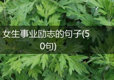 女生事业励志的句子(50句)