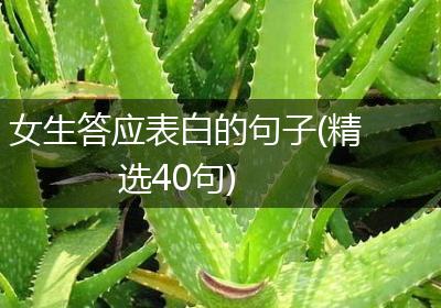 女生答应表白的句子(精选40句)