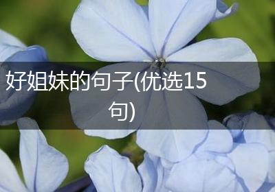 好姐妹的句子(优选15句)
