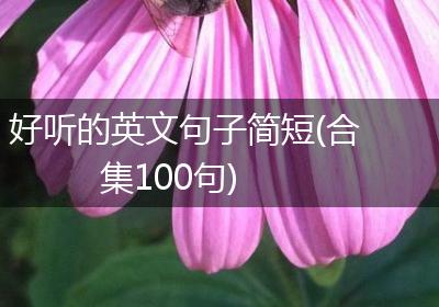 好听的英文句子简短(合集100句)