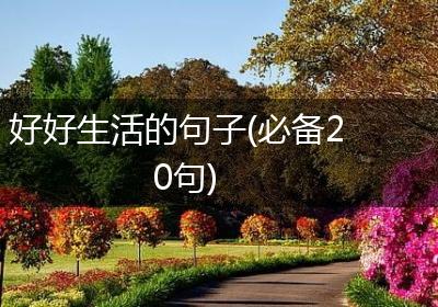 好好生活的句子(必备20句)