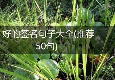 好的签名句子大全(推荐50句)