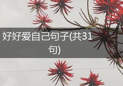 好好爱自己句子(共31句)