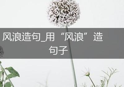 风浪造句_用“风浪”造句子