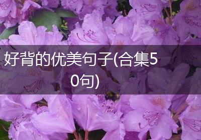 好背的优美句子(合集50句)