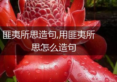 匪夷所思造句,用匪夷所思怎么造句