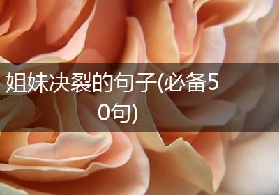 姐妹决裂的句子(必备50句)