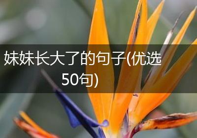 妹妹长大了的句子(优选50句)