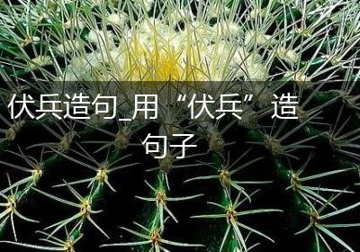 伏兵造句_用“伏兵”造句子