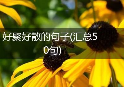 好聚好散的句子(汇总50句)