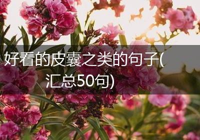 好看的皮囊之类的句子(汇总50句)
